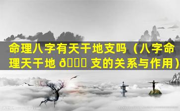 命理八字有天干地支吗（八字命理天干地 🐎 支的关系与作用）